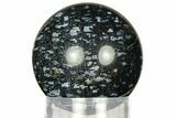 Polished, Black Petrified Palm Root Sphere - Indonesia #311556-1